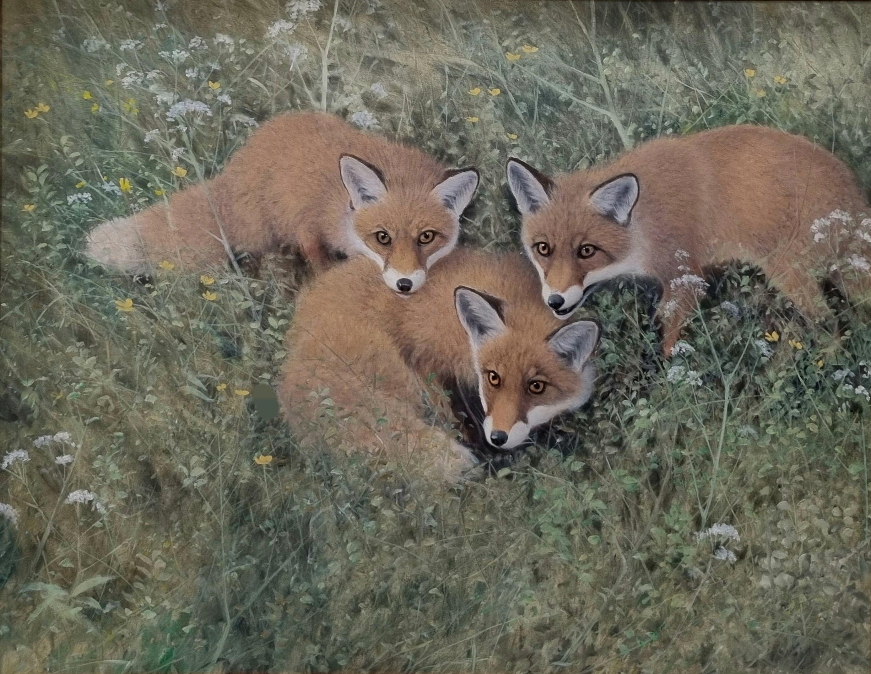 Fox Cubs<br> Oil on canvas, 73 × 92 cm