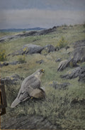 Gyr Falcon with Prey<br> Oil on canvas, 80 × 120 cm