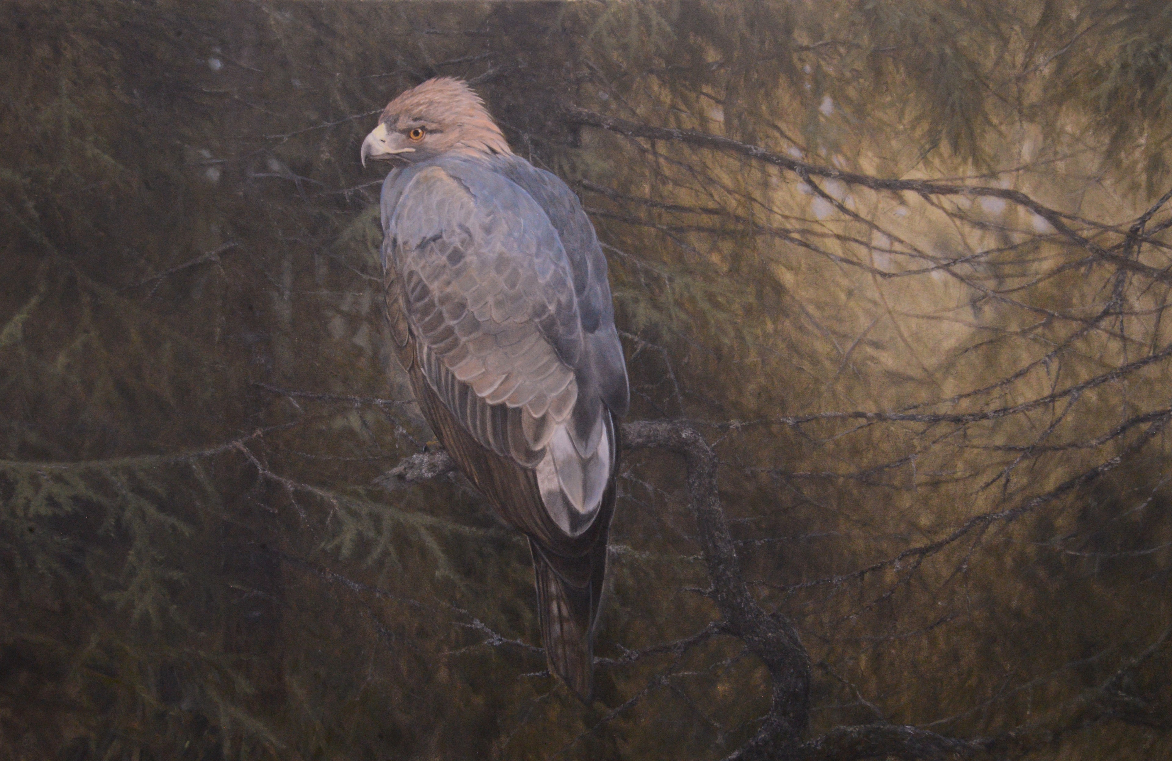 Golden Eagle<br> Oil on canvas, 90 × 140 cm