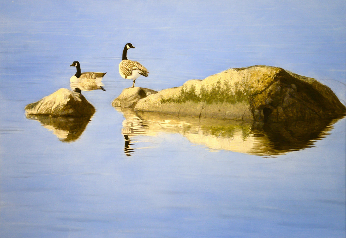 Resting Geese <br> Oil on canvas, 90 x 140 cm