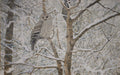 Ural Owl<br> Oil on canvas, 110 × 150 cm