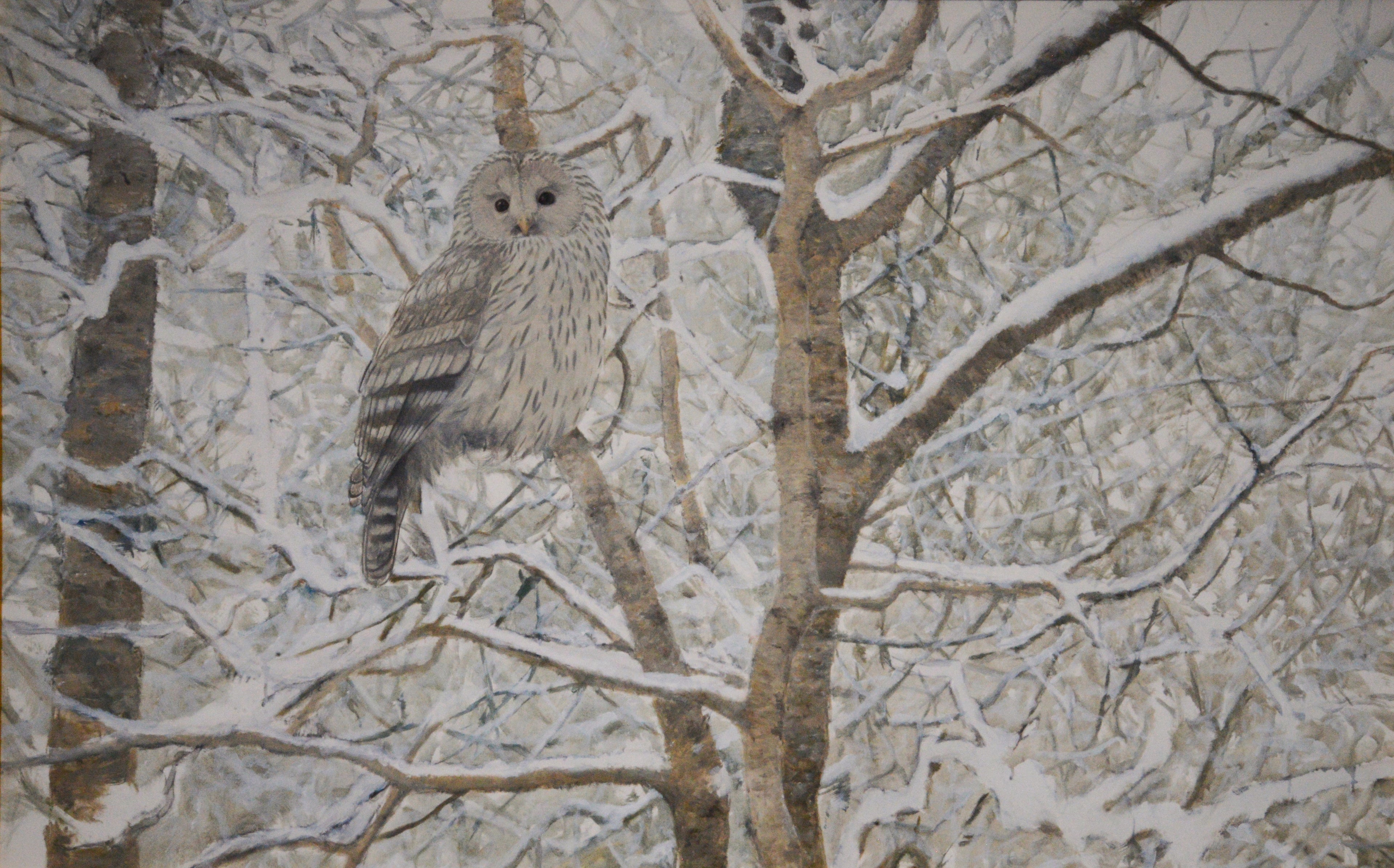 Ural Owl<br> Oil on canvas, 110 × 150 cm