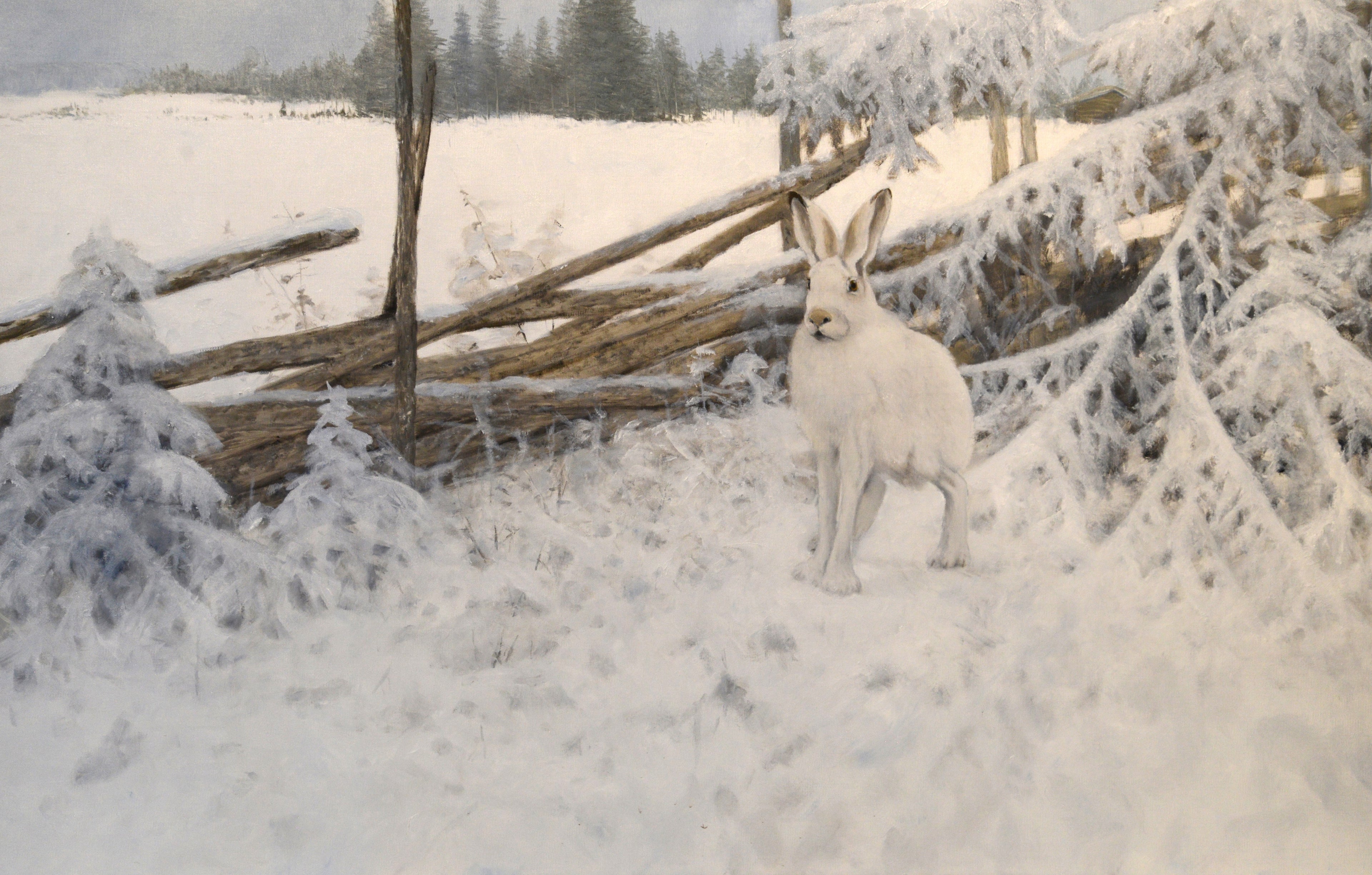 Winter Hare<br> Oil on canvas, 90 × 140 cm